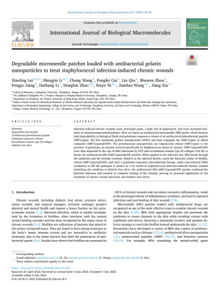 2022 动物研究，重组胶原微针，用于慢性伤口