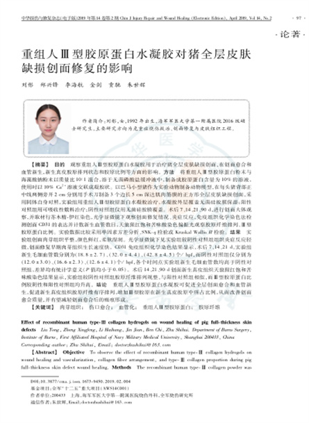2019 动物研究，重组人Ⅲ型胶原蛋白水凝胶对猪全层皮肤缺损创面修复的影响