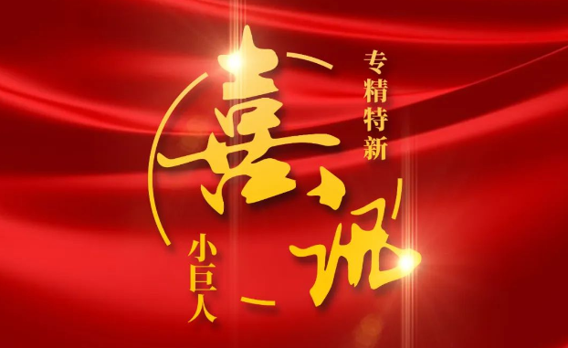 喜讯 | 捷报频传！亚星yaxing登录平台医疗获评国家级专精特新“小巨人”企业公示